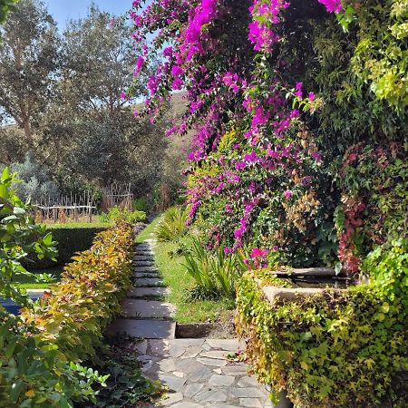 Bancal De Los Perez Carataunas Dış mekan fotoğraf