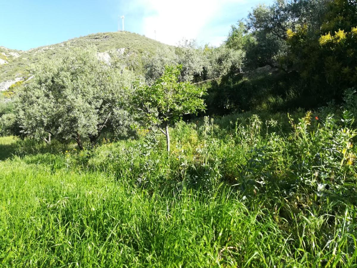 Bancal De Los Perez Carataunas Dış mekan fotoğraf