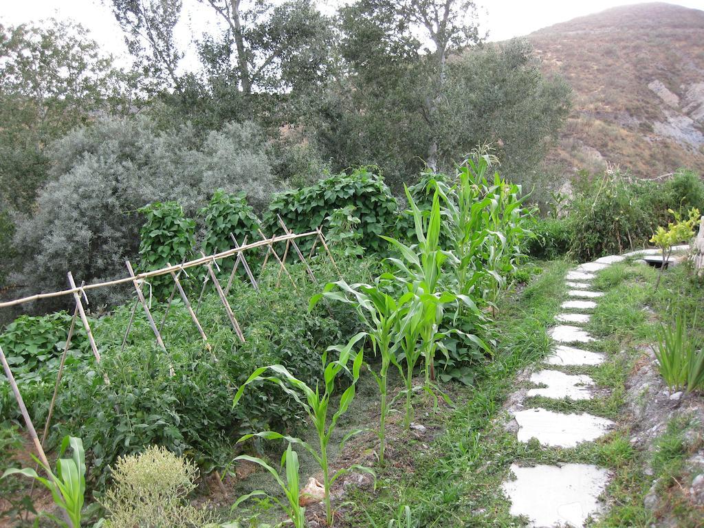 Bancal De Los Perez Carataunas Dış mekan fotoğraf