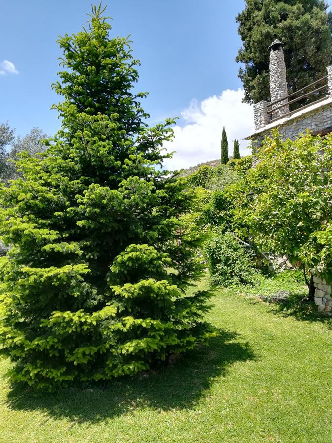 Bancal De Los Perez Carataunas Dış mekan fotoğraf