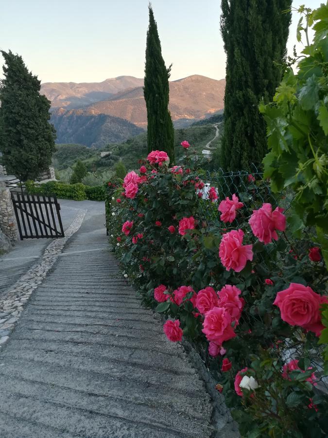 Bancal De Los Perez Carataunas Dış mekan fotoğraf